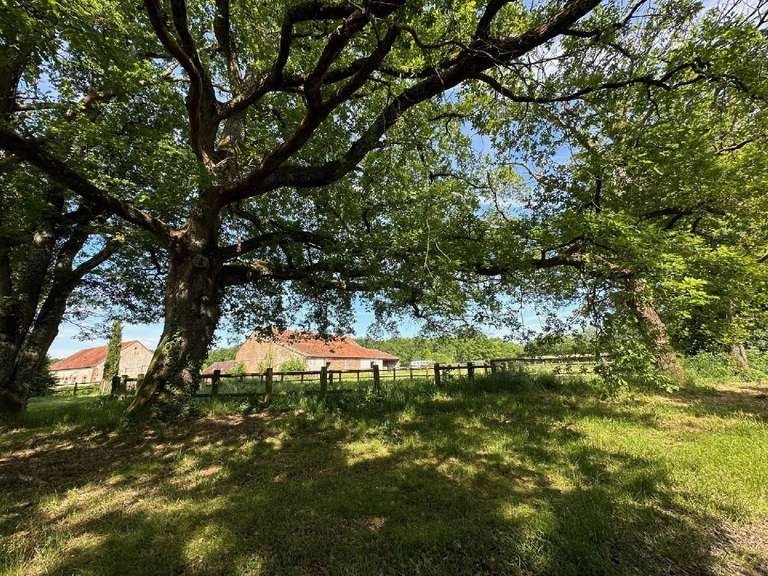 House Villemurlin - 240m²