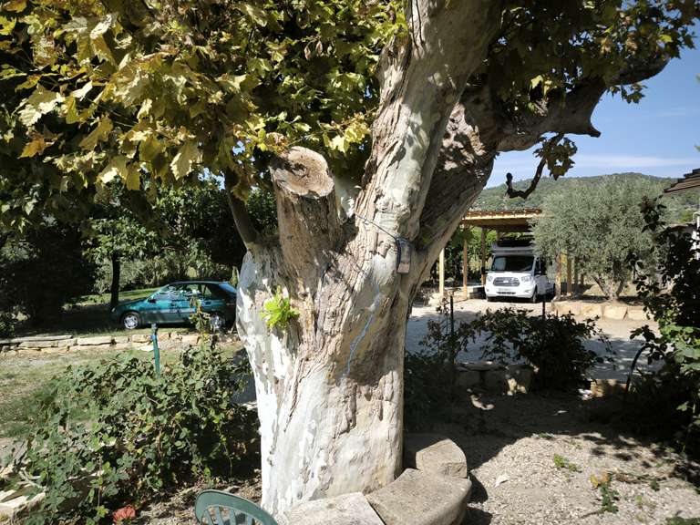 House Villeneuve - 3 bedrooms - 240m²