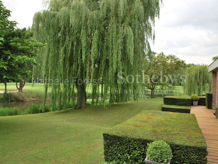 Maison Villeneuve-d'Ascq - 5 chambres - 392m²