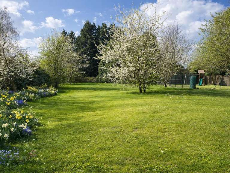 Maison Villeneuve-d'Ascq - 5 chambres - 220m²