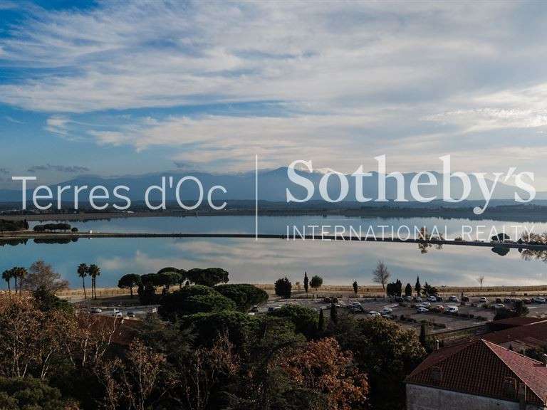 Maison Villeneuve-de-la-Raho - 396m²