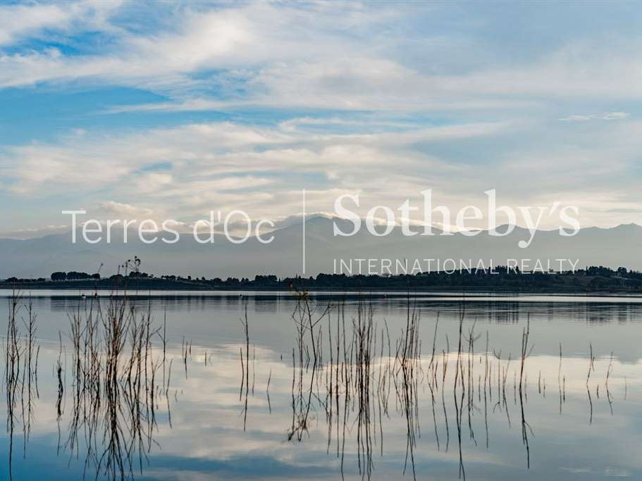 House Villeneuve-de-la-Raho