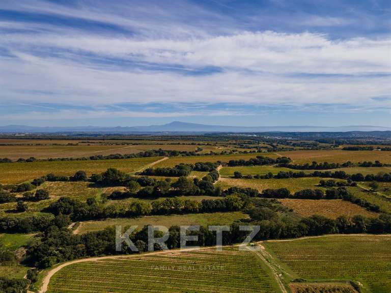 House Villeneuve-lès-Avignon - 4 bedrooms - 367m²