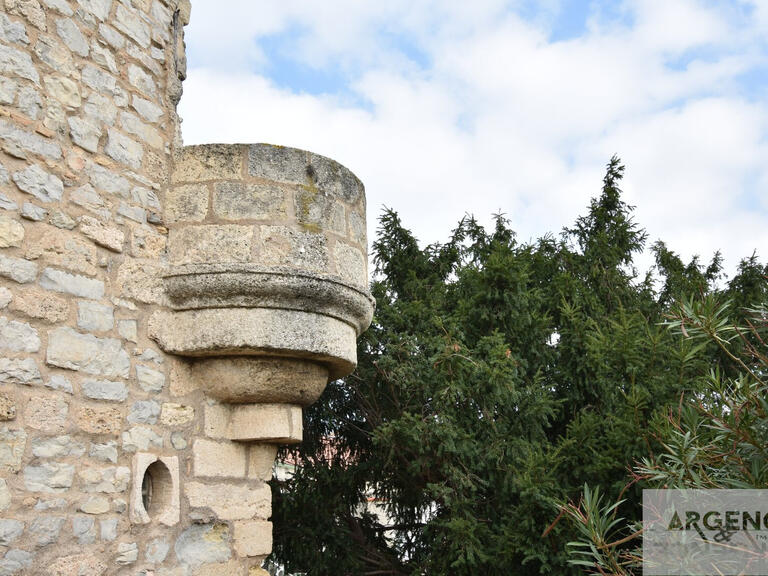 Château Villeneuve-lès-Maguelone - 7 chambres - 600m²