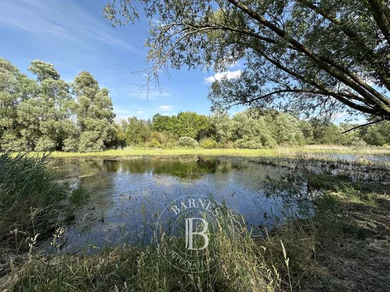 Maison Villeneuve-sur-Conie - 8 chambres - 321m²