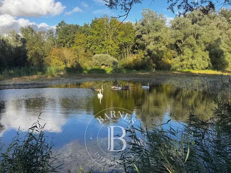 Maison Villeneuve-sur-Conie - 8 chambres - 321m²