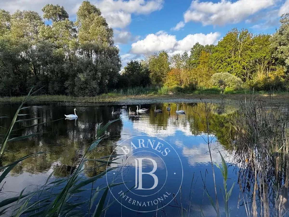 Maison Villeneuve-sur-Conie