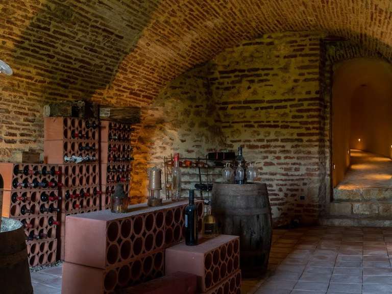 Maison Villeneuve-sur-Lot - 3 chambres - 270m²