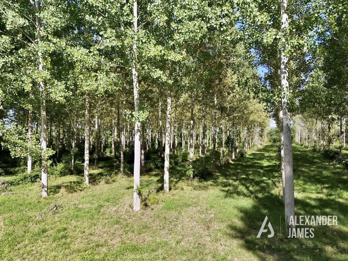 Maison Villeneuve-sur-Lot