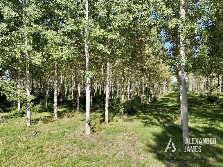 Maison Villeneuve-sur-Lot - 6 chambres - 346m²