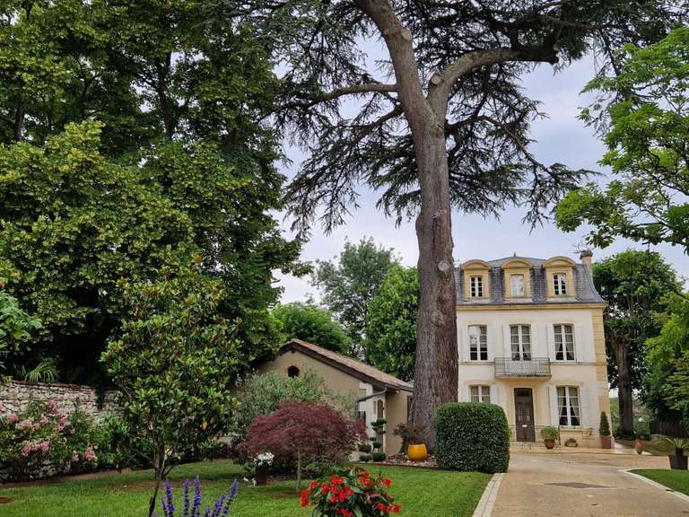 Maison Villeneuve-sur-Lot - 3 chambres - 270m²