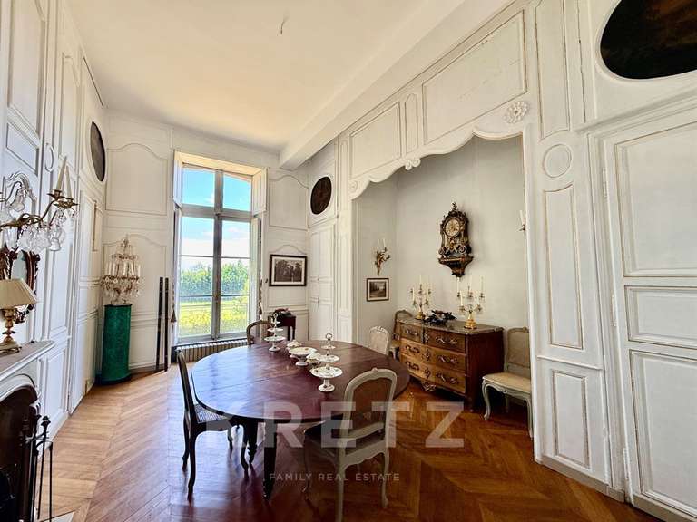 Château Villeneuve-sur-Yonne - 9 chambres - 1200m²