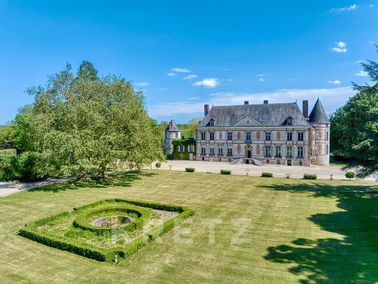 Château Villeneuve-sur-Yonne - 9 chambres - 1200m²