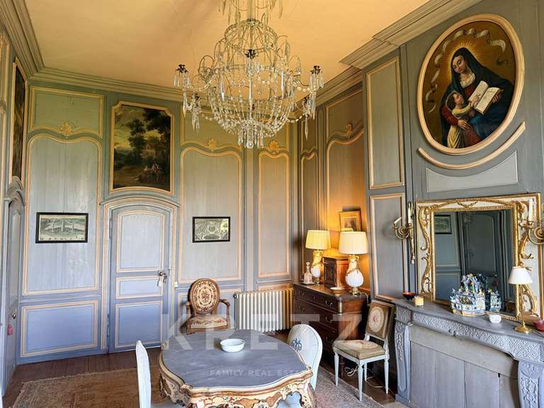 Château Villeneuve-sur-Yonne - 9 chambres - 1200m²
