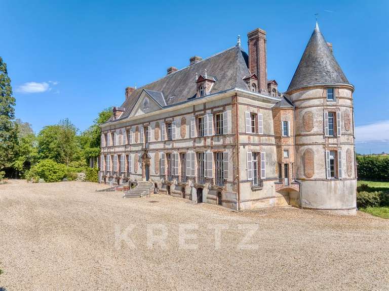 Château Villeneuve-sur-Yonne - 9 chambres - 1200m²