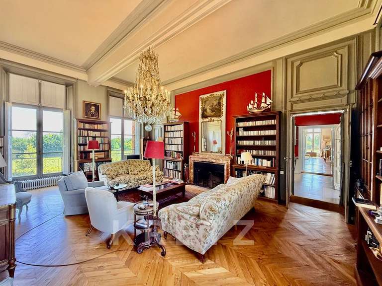 Château Villeneuve-sur-Yonne - 9 chambres - 1200m²