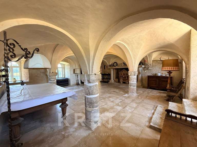 Château Villeneuve-sur-Yonne - 9 chambres - 1200m²