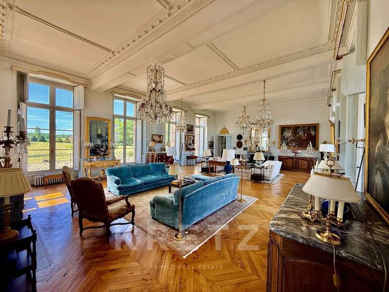 Château Villeneuve-sur-Yonne - 9 chambres - 1200m²