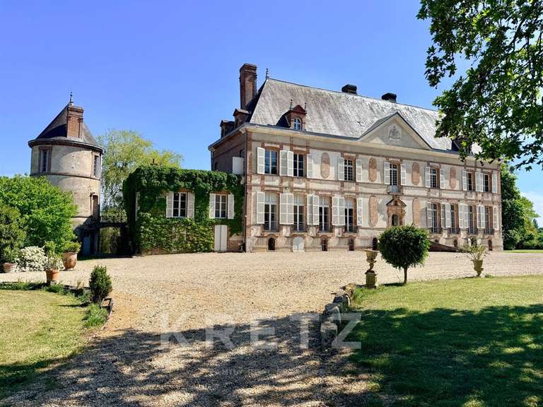 Château Villeneuve-sur-Yonne - 9 chambres - 1200m²