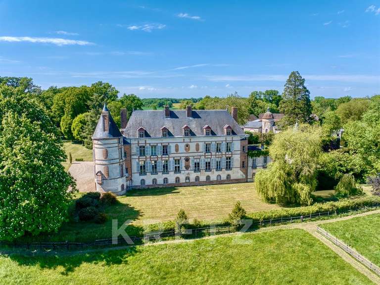 Château Villeneuve-sur-Yonne - 9 chambres - 1200m²
