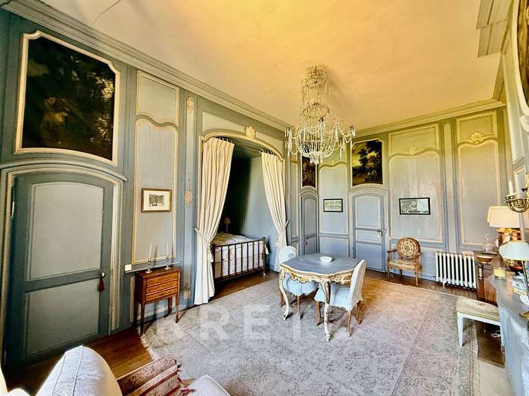 Château Villeneuve-sur-Yonne - 9 chambres - 1200m²