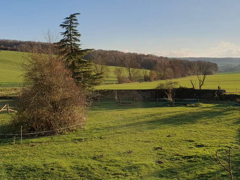 House Villers-Agron-Aiguizy - 6 bedrooms - 278m²