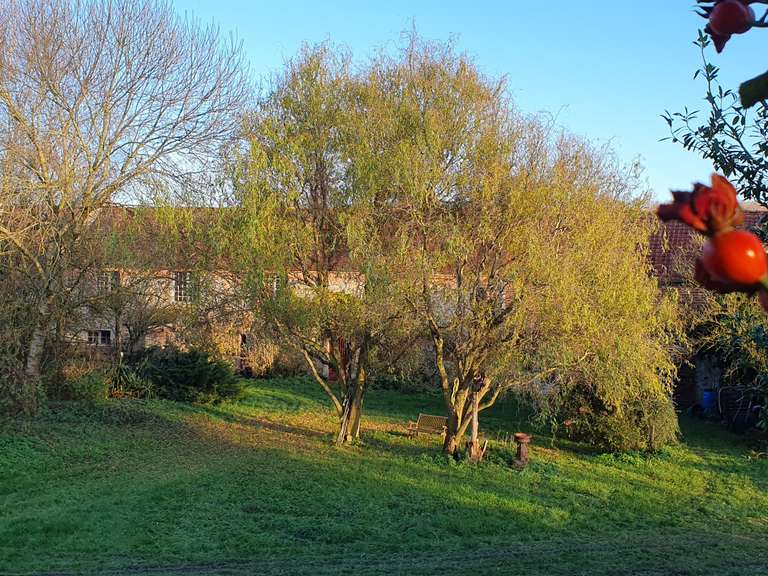 House Villers-Agron-Aiguizy - 6 bedrooms - 278m²