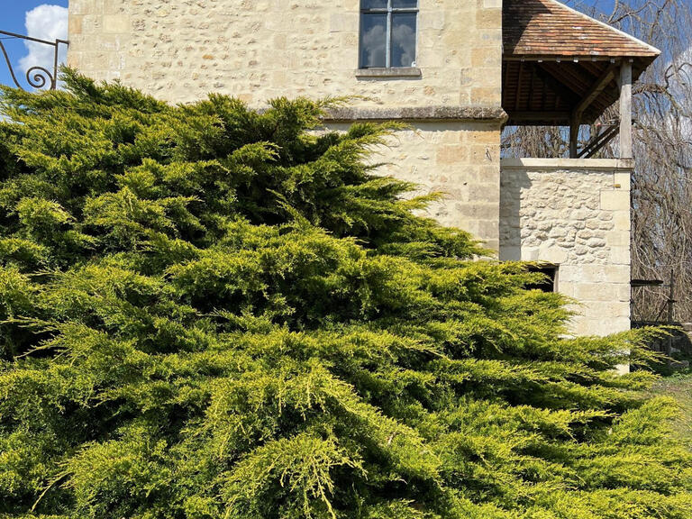 Château Villers-Cotterêts - 450m²
