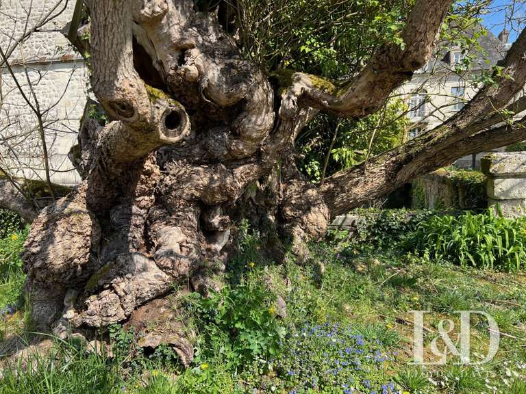 Château Villers-Cotterêts - 450m²