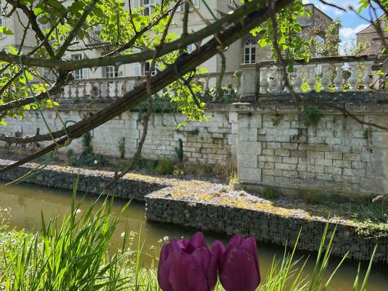 Château Villers-Cotterêts - 450m²