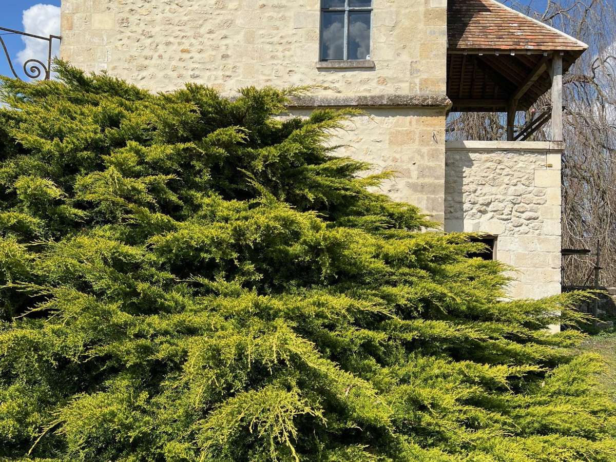 Château Villers-Cotterêts