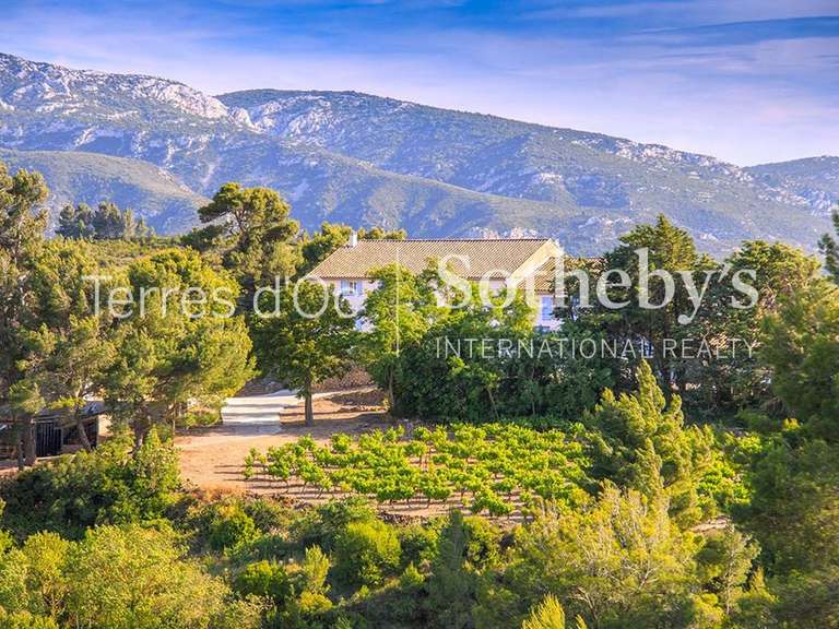 Property Villesèque-des-Corbières - 14 bedrooms - 840m²