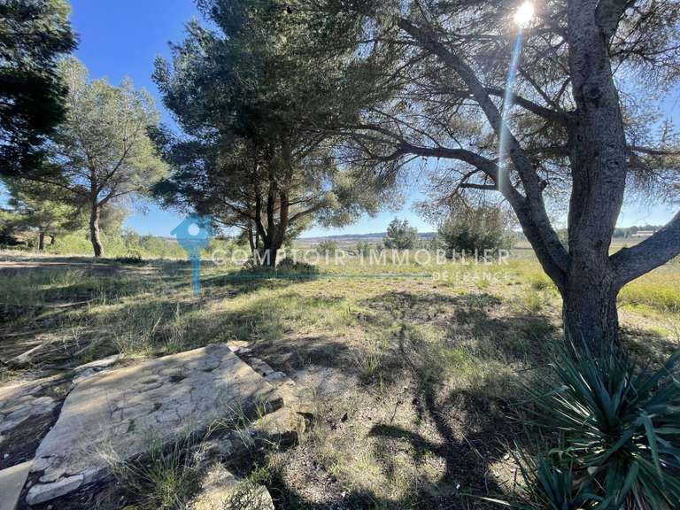 Maison Villeveyrac - 7 chambres - 311m²