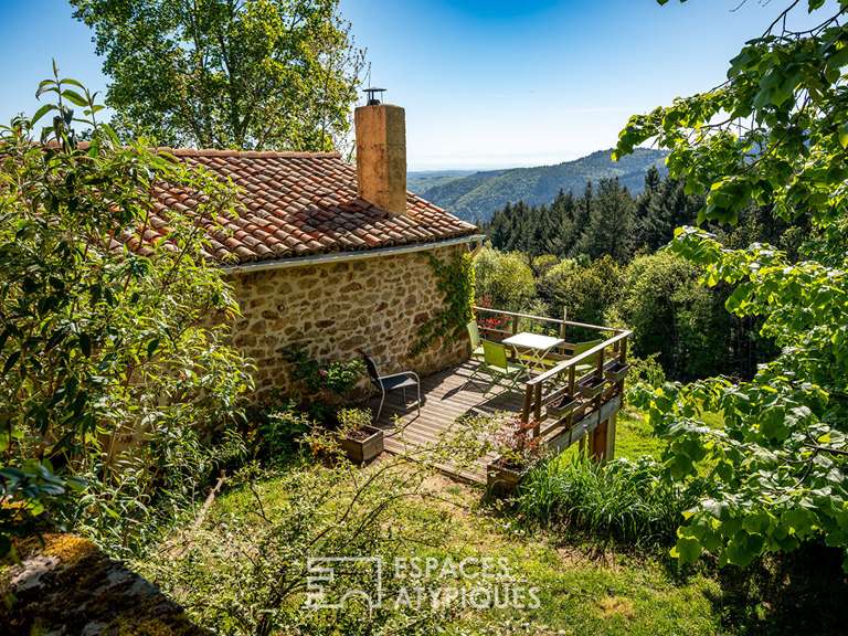 Maison Villevocance - 4 chambres - 250m²