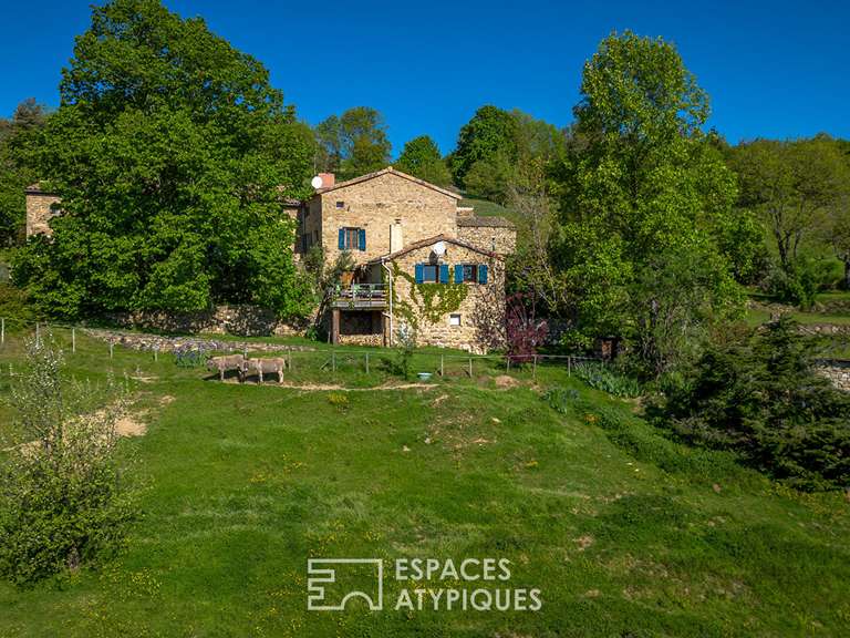 Maison Villevocance - 4 chambres - 250m²