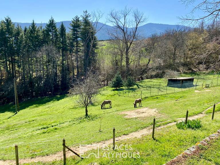 Maison Villevocance - 4 chambres - 250m²