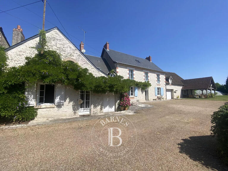 Propriété Vineuil - 6 chambres - 315m²