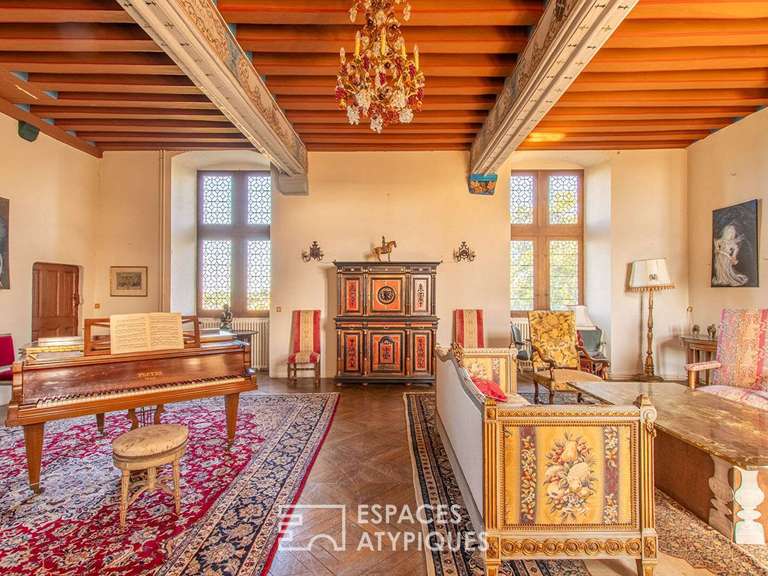 Castle Viré-en-Champagne - 8 bedrooms