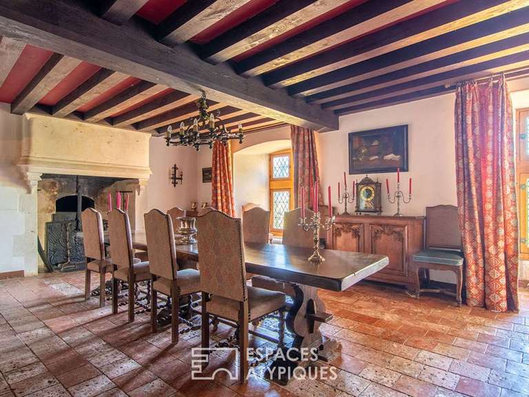 Castle Viré-en-Champagne - 8 bedrooms