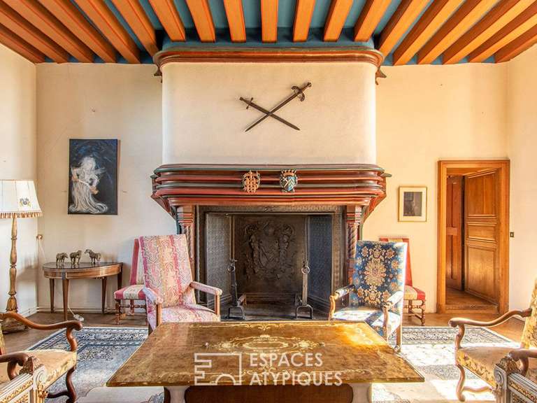 Castle Viré-en-Champagne - 8 bedrooms