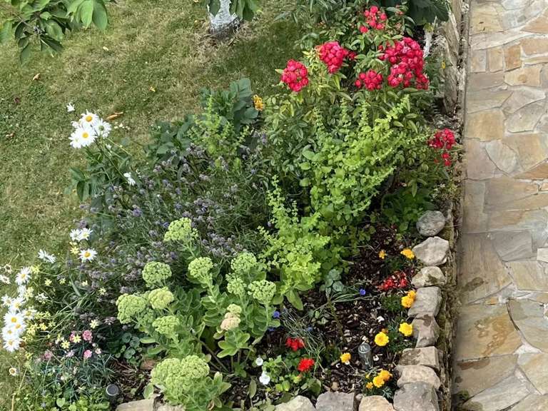 House Viroflay - 4 bedrooms - 106m²