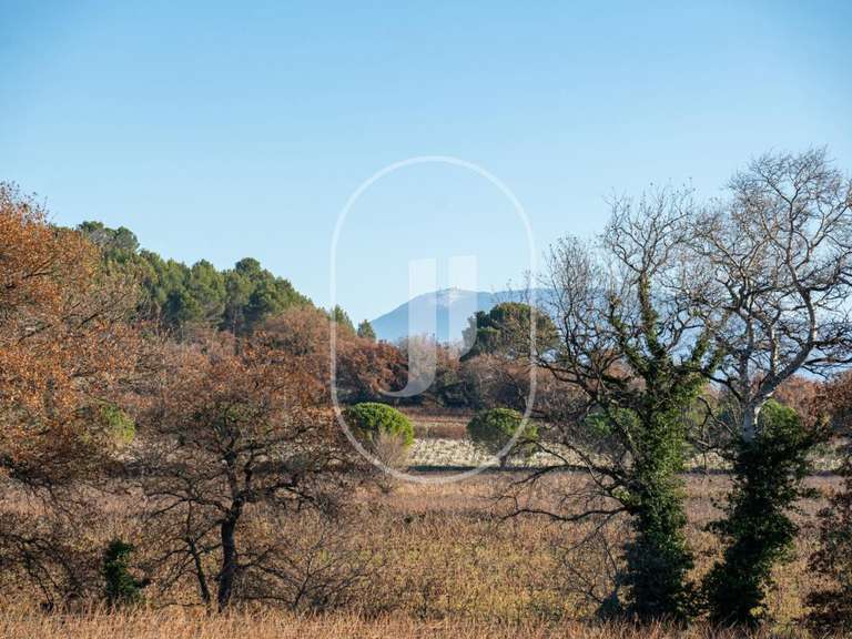 Maison Visan - 9 chambres - 360m²