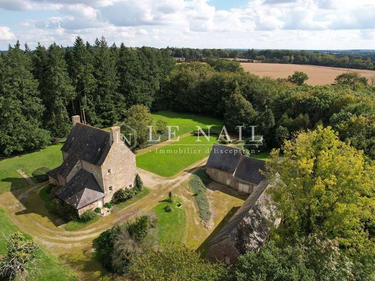 Manoir Vitré - 250m²