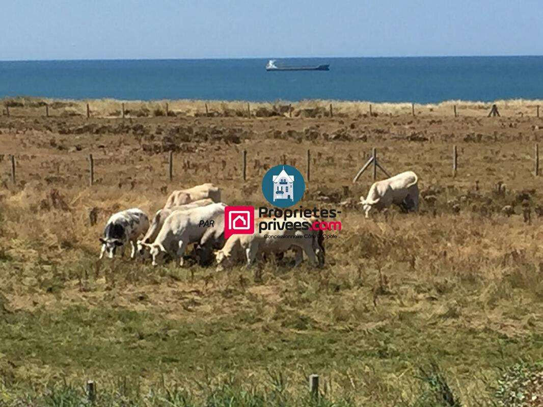 Appartement Wimereux