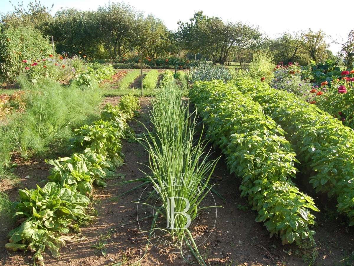 Equestrian property Ygrande