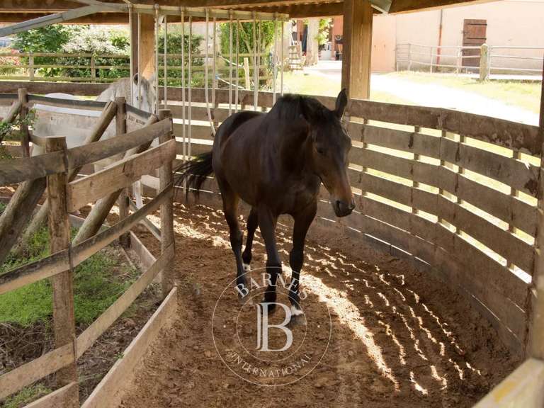 Propriété équestre Ygrande - 19 chambres - 1500m²