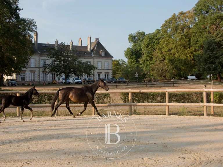 Propriété équestre Ygrande - 19 chambres - 1500m²