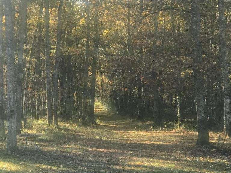 House Yvoy-le-Marron - 7 bedrooms - 248m²