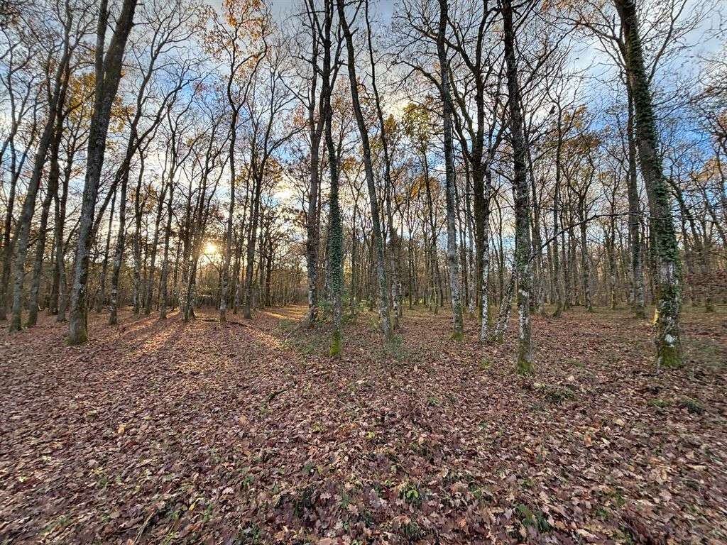 House Yvoy-le-Marron