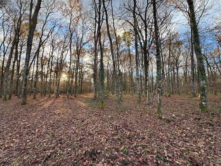 House Yvoy-le-Marron - 7 bedrooms - 248m²